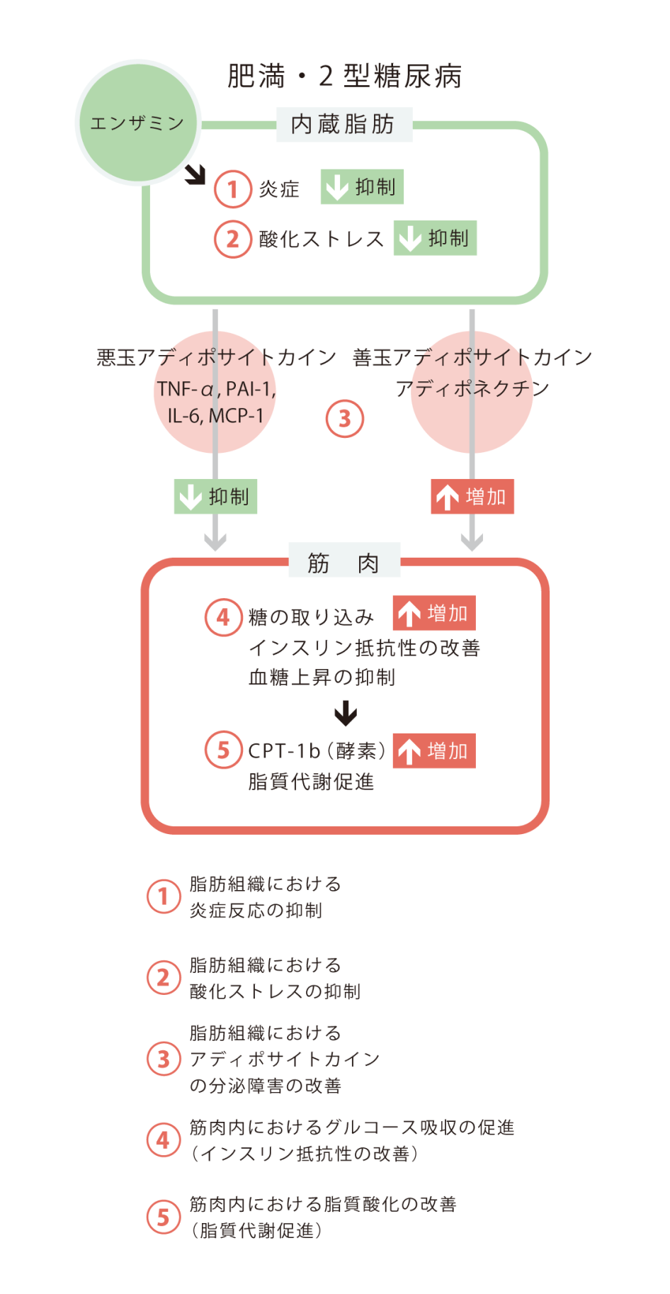メタボリックシンドロームグラフ0